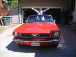 Highlight for Album: Diana Scafire gets a cool 66 Mustang convertible.