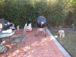 Highlight for Album: Thanksgiving 2007 and we BBQ a turkey.