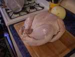 It seems our Thanksgiving turkey is a Tom.