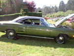 hemi coronet