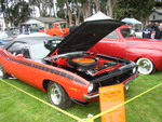 Bruno's sweet AAR Cuda'